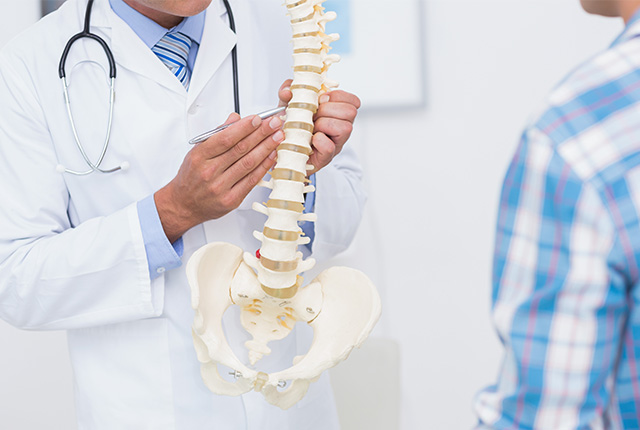 脊髄模型で患者に医師が説明を行う様子